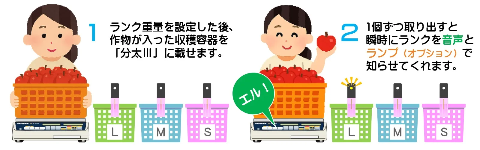 音声とランプでランクをお知らせ！