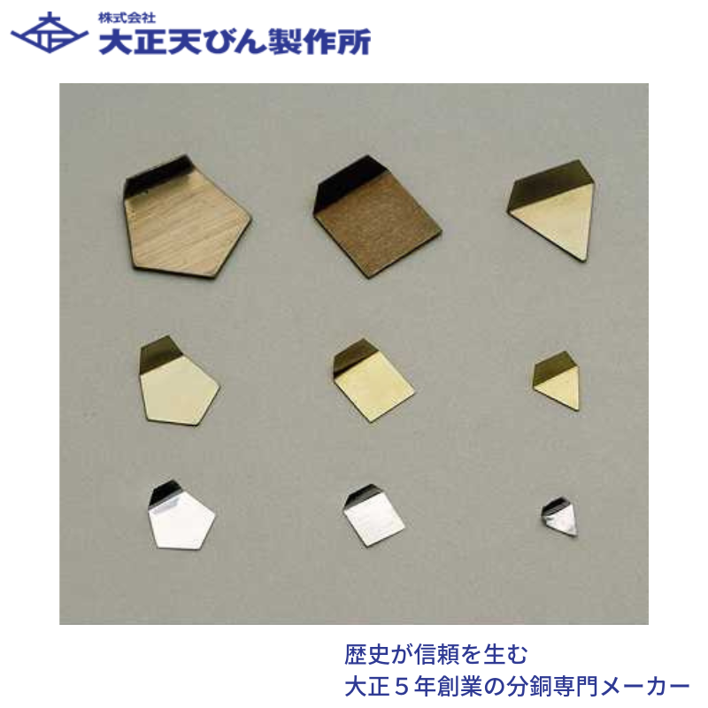 ㈱大正てんびん製作所 基準分銅型板状分銅(非磁性ステンレス鋼製